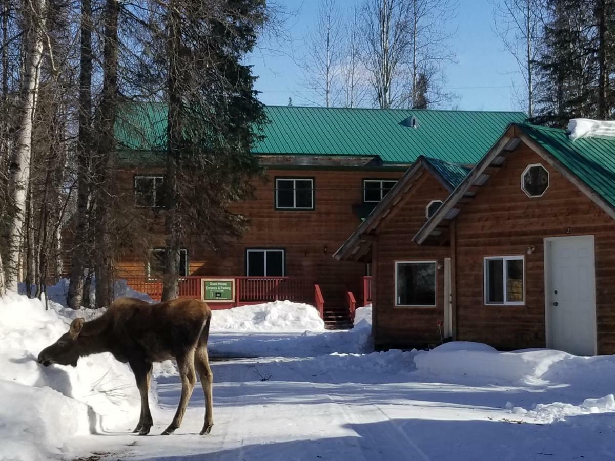 Hotel Talkeetna Hideaway Extérieur photo